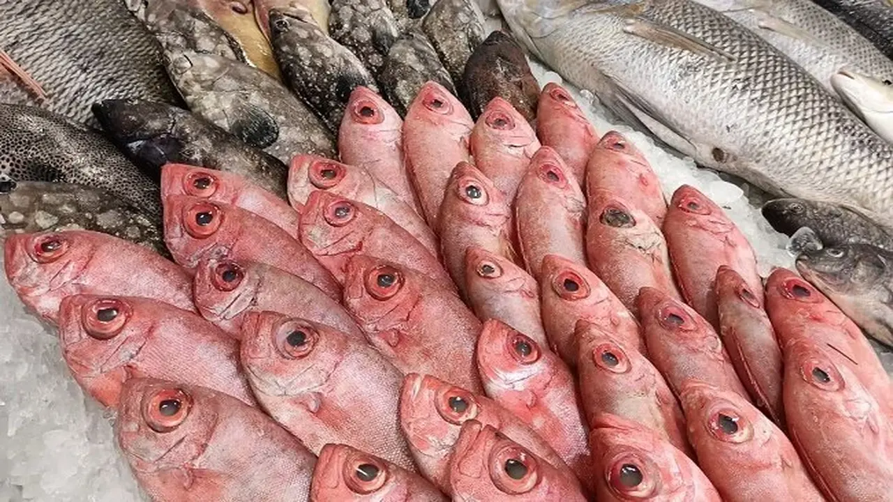 أسعار الأسماك في الأسواق اليوم السبت 6 ديسمبر 2025 وتأثيرها على الأسواق المحلية